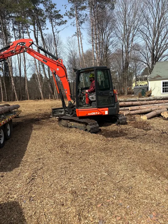 Compact excavator working on a cleared lot beside stacked logs